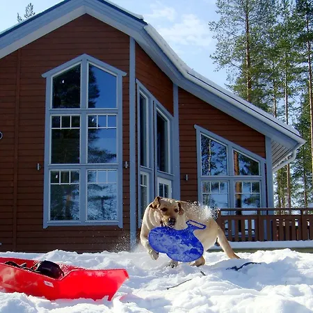 Kolinpilvi * Koli (Lieksa)